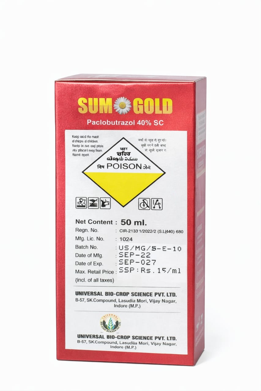 SUMO GOLD
