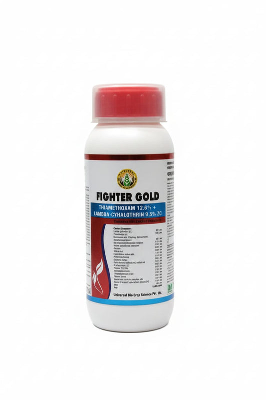 FIGHTER GOLD