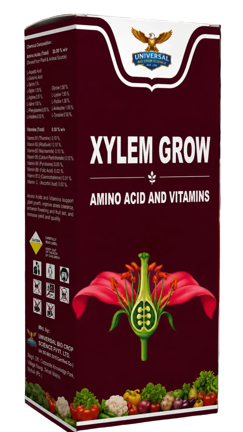 XYLEM GROW