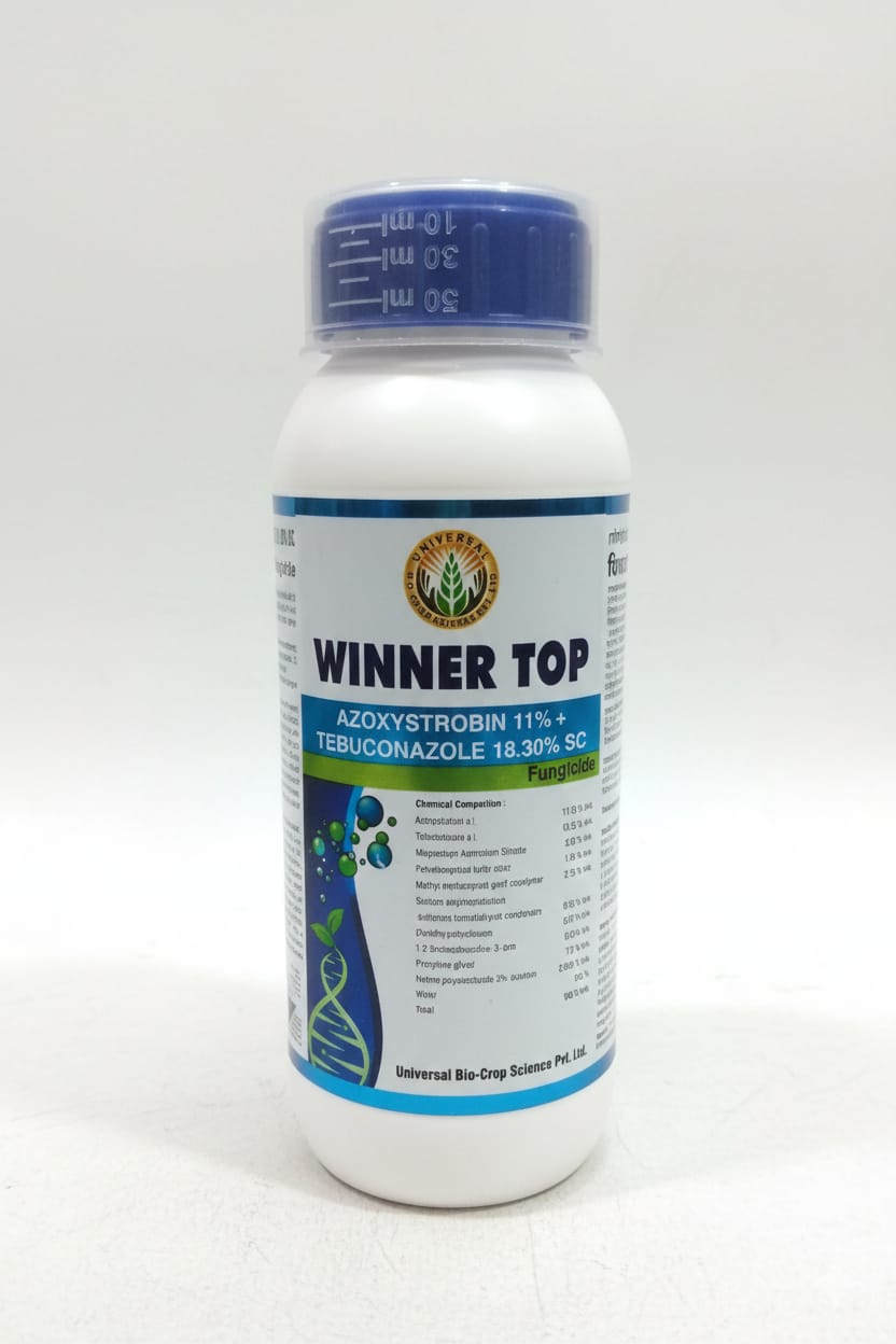 WINNER TOP