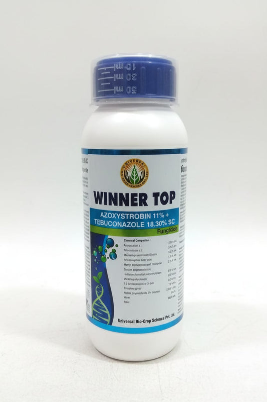 WINNER TOP