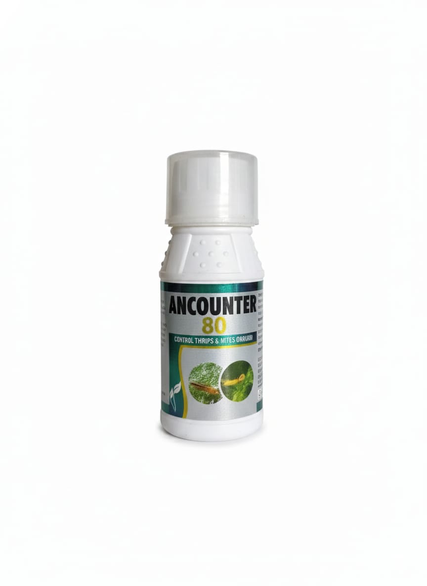 ANCOUNTER - 80