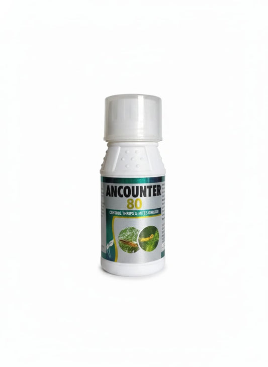 ANCOUNTER - 80