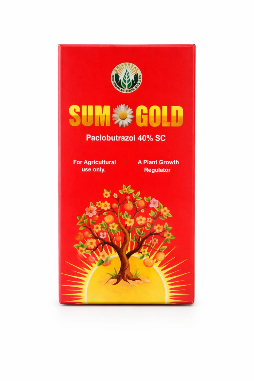 SUMO GOLD