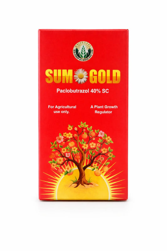 SUMO GOLD